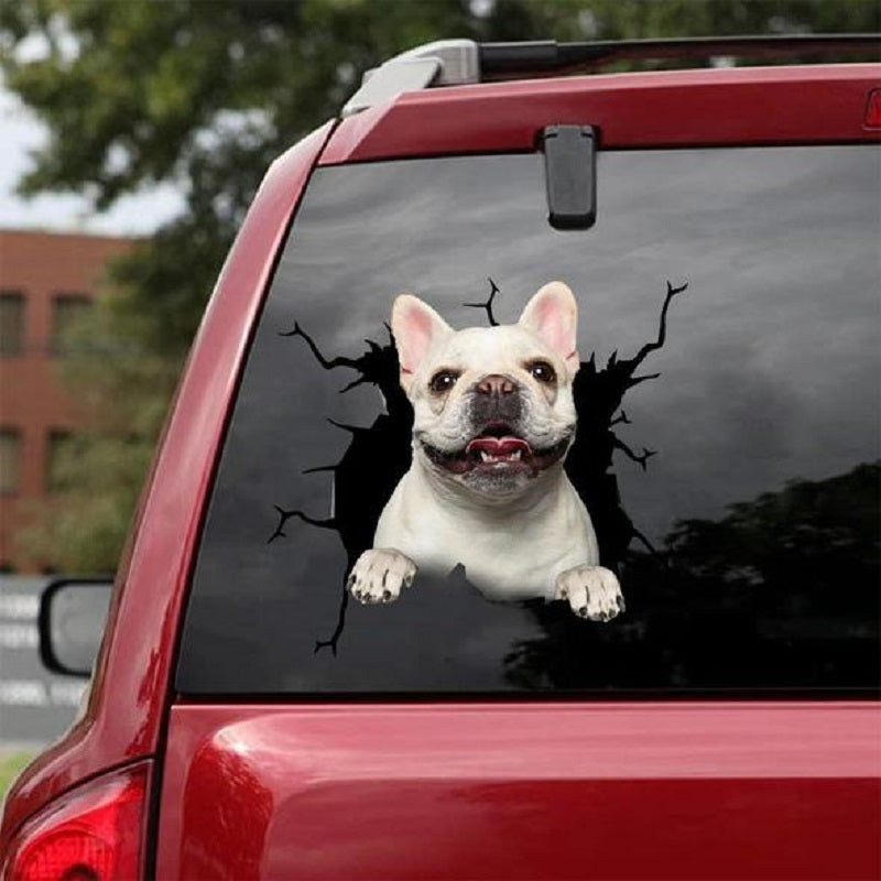 Autocollants électrostatiques créatifs pour fenêtre de voiture, mur d'animaux, toutes sortes de chiots, trous cassés