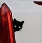 The rear window of the foreign trade will move. The rear window cat's rear window wiper is suitable for reflective car stickers and stickers.