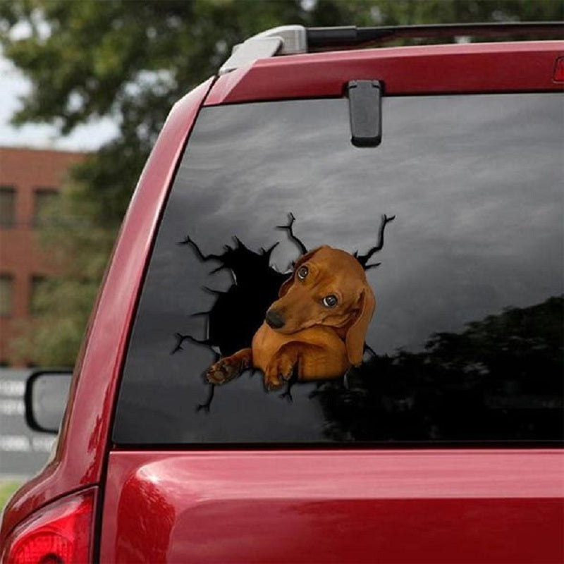 Autocollants électrostatiques créatifs pour fenêtre de voiture, mur d'animaux, toutes sortes de chiots, trous cassés