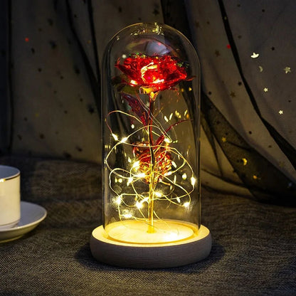 Mothers Day Gifts Beauty and The Beast Preserved Roses In  Galaxy Rose LED Light Artificial Flower Gift for Mom Women Girls