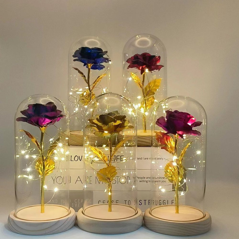 Mothers Day Gifts Beauty and The Beast Preserved Roses In  Galaxy Rose LED Light Artificial Flower Gift for Mom Women Girls