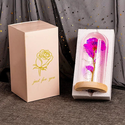 Mothers Day Gifts Beauty and The Beast Preserved Roses In  Galaxy Rose LED Light Artificial Flower Gift for Mom Women Girls