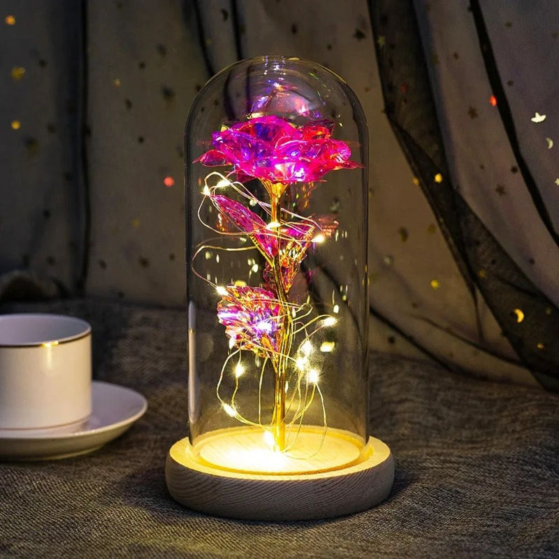 Mothers Day Gifts Beauty and The Beast Preserved Roses In  Galaxy Rose LED Light Artificial Flower Gift for Mom Women Girls